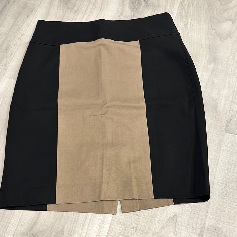Size 2 Banana Republic Two Tone Skirt